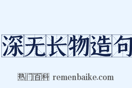 深无长物造句是什么意思的图片